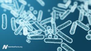 Feeding Our Gut Microbiome for Better Health
